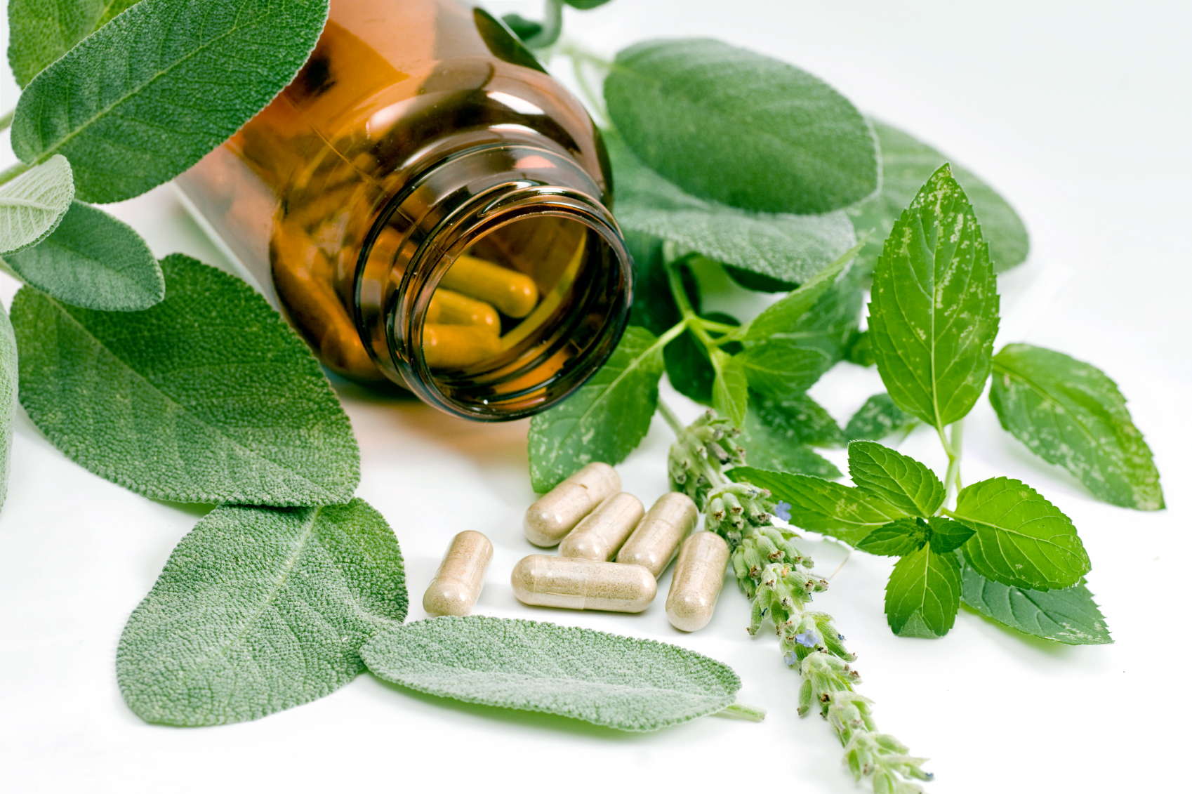 The Benefit of FDA Dietary Supplements in Your Life